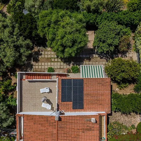 Terrazza Degli Ulivi A Pochi Metri Dal Mare